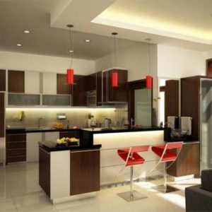 kitchen (238/345)